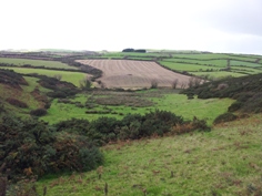 agricultural landscape